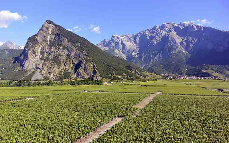 Chamoson Valais