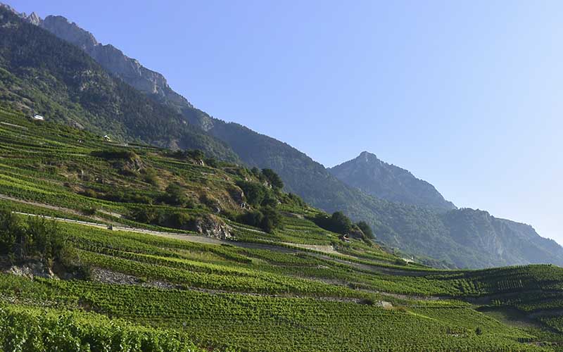 Le Valais bénéficie d’un climat sec avec un ensoleillement généreux