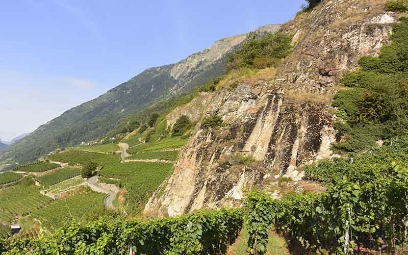 Le Valais terroir du Fendant