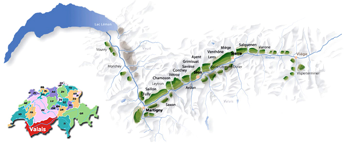 Le Valais terroir du Fendant